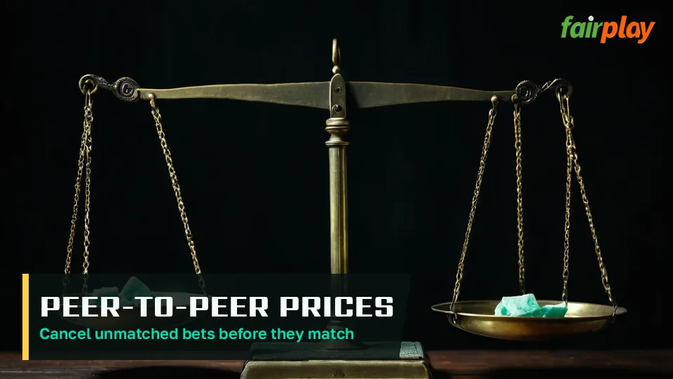 Two bettors on opposite sides of one matched stake on the FairPlay exchange slip